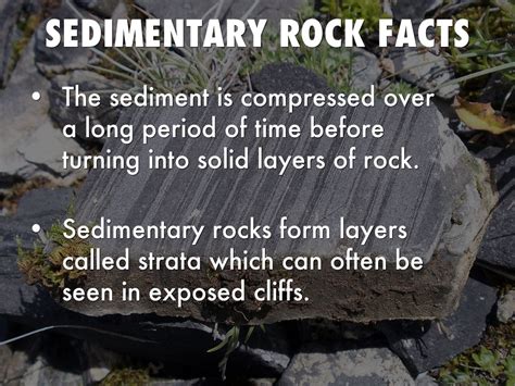 Interesting Facts About Sedimentary Rocks