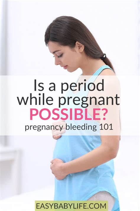 is a period while pregnant possible pregnancy bleeding 101
