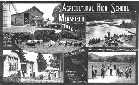 Postcard Showing Mansfield Scenes High Country History Hub