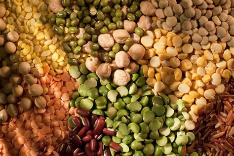 Where Do Beans And Other Legumes Fit Into A Low Carb Diet Legumes Are