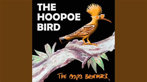The Hoopoe Bird Youtube