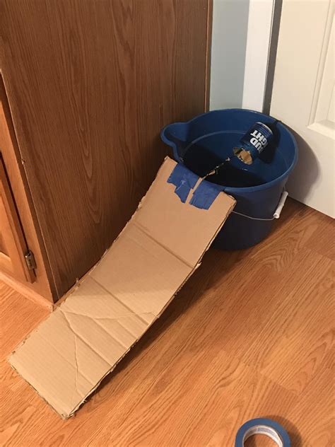 5 Gallon Bucket Mouse Trap Diy