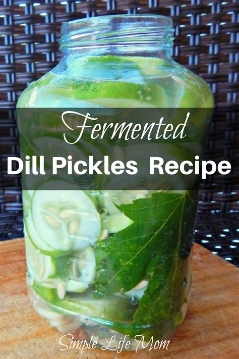 Easy Healthy Fermented Dill Pickles Recipe Simple Life Mom