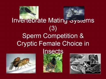 Ppt Invertebrate Mating Systems Sperm Competition Powerpoint
