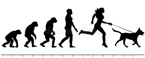 Evolution Woman Stock Illustration Illustration Of Young 81244778
