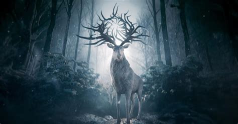 Shadow and bone is the first book in the grisha trilogy by leigh bardugo. Netflix's Shadow and Bone adaptation reveals premiere date, series details | EW.com