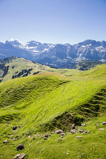 Green Summer Alpine Landscape Swiss Alps Mountain Massif Switzerland