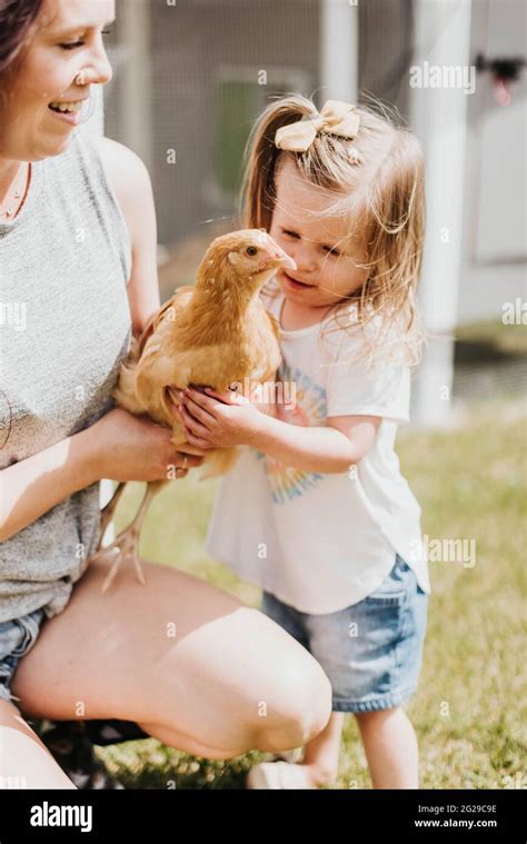 Mother Holds Chicken As Babe Gives It A Hug In Their Backyard Stock Photo Alamy