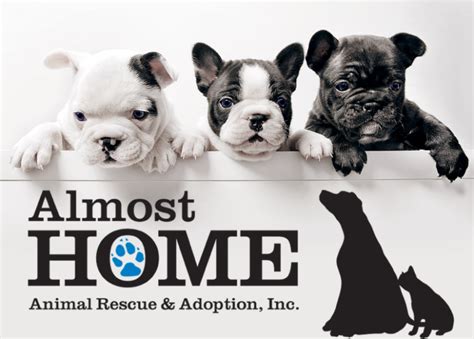 Almost Home Animal Shelter Almost Home Animal Shelter Quinnesec