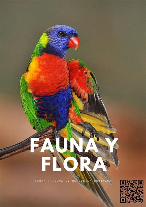 Calaméo Fauna Y Flora