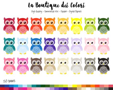 50 Rainbow Owl Clipart Cute Digital Illustrations Png Owls Etsy