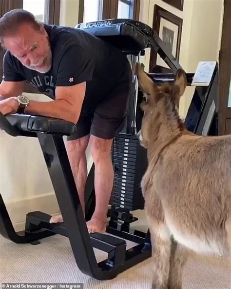 Arnold Schwarzeneggers Home Workout Is Interrupted By Pet Donkey Lulu
