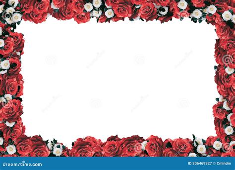 Red And White Rose Full Border Frame Stock Illustration Illustration