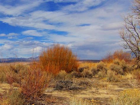 Desert Vista Photograph By Marilyn Diaz Pixels