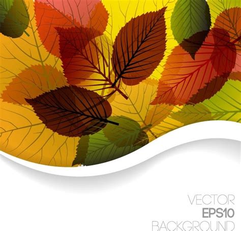 Autumn Leaves Vector 3 Graphic Design Vectors Graphic Art Designs In