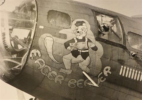 Eager Beaver Nose Art Airplane Art Aviation Art