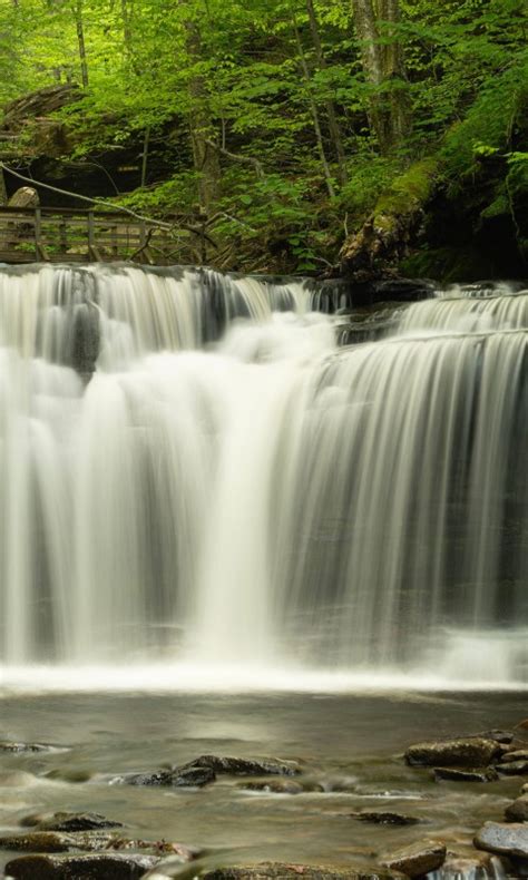 Waterfall Forest 4k 5k Hd Wallpapers Hd Wallpapers Id