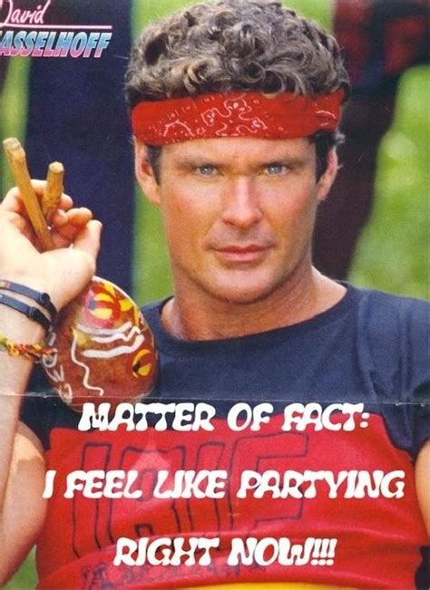 20 Best Images About The Hoff On Pinterest Acrylics The Floor And Cakes