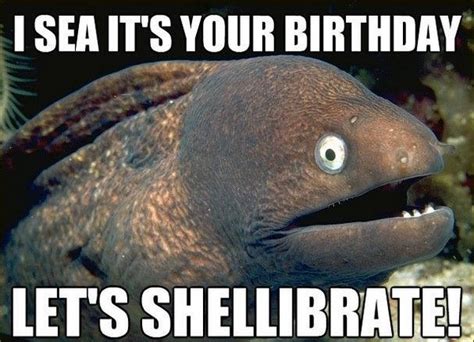 80top Funny Happy Birthday Memes Math Jokes Math Humor Bad Jokes