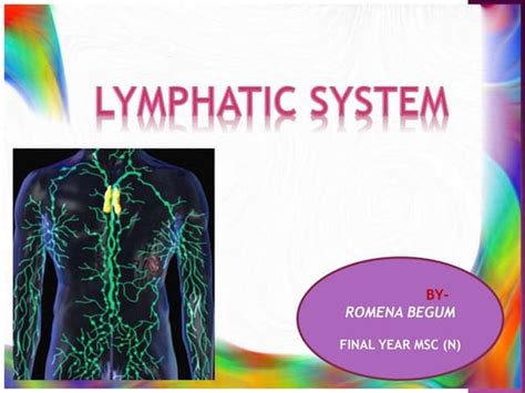 Lab 2 The Lymphatic Systempdf