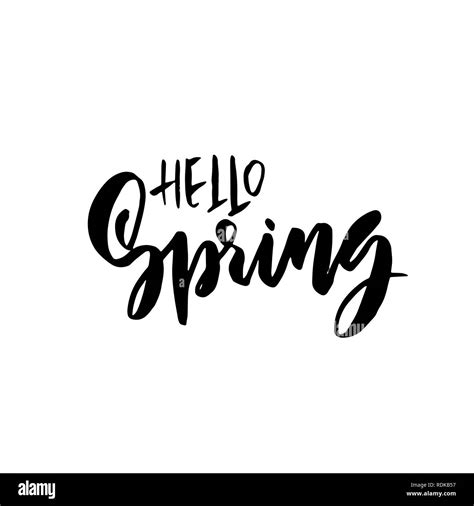 Hello Spring Handdrawn Modern Brushpen Lettering Vector Illustration
