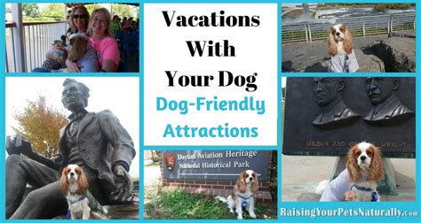 Dog Friendly Attractions Traveling With Dogs Vacations With Dog