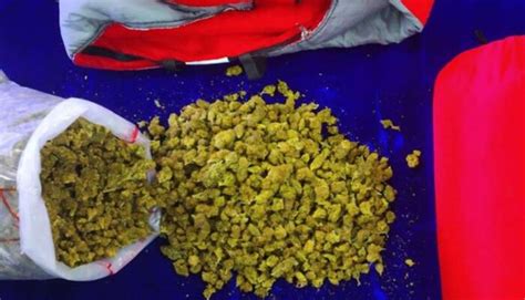 Andhra Man Tries To Smuggle 17 Kg Weed From Us Into India Through Sleeping Bags Busted