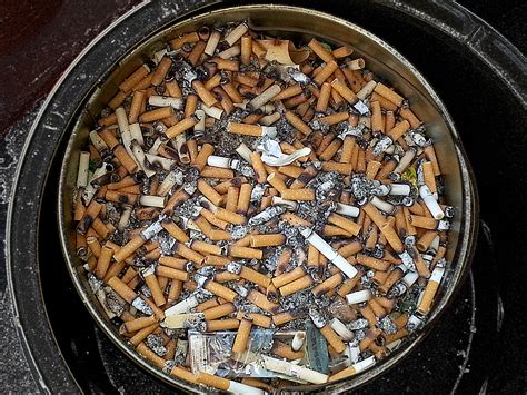 Free Images Wood Smoking Dish Food Produce Burn Cigarette Butt Danger Filter
