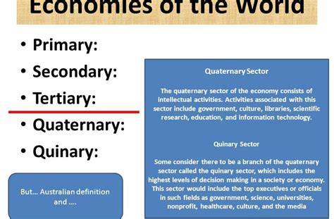 Tertiary Economic Activity Definition Goimages Cove