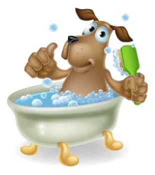 Large outdoor pet dog pool foldable kids swimming pool collapsible bathing tub. 7 Best Dog Bath and Grooming Tubs for Hassle Free Pet ...