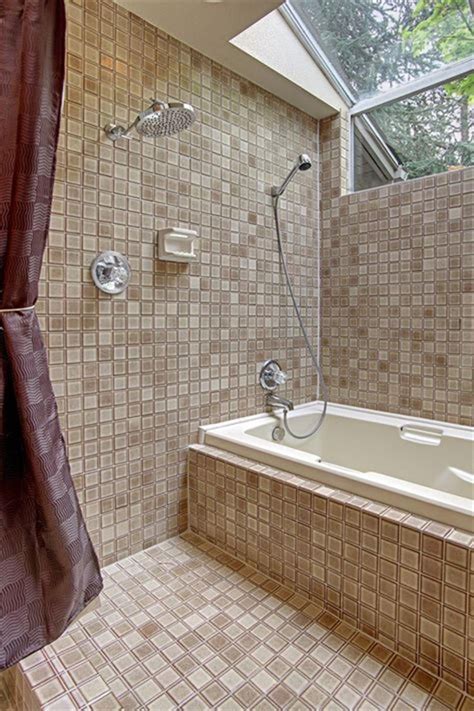 Shower Bath Combo Design Ideas Best Design Idea