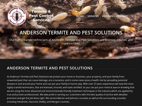 Anderson Termite And Pest Solutions Website Design By Doug Walker