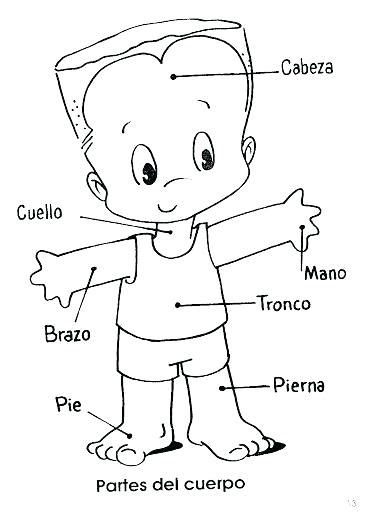 Body Parts Coloring Pages For Preschool At Free
