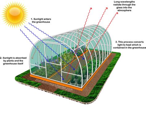How Does A Greenhouse Work Home Improvements News Uk