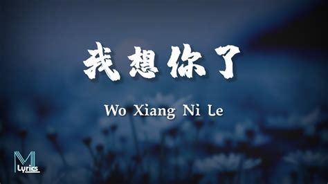 Xiao Lan Bei Xin 小蓝背心 Wo Xiang Ni Le 我想你了 Lyrics 歌词 Pinyin