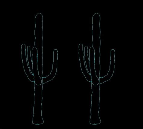 Cactus Tree Desert Plant Front View Elevation 2d Dwg Block For Autocad