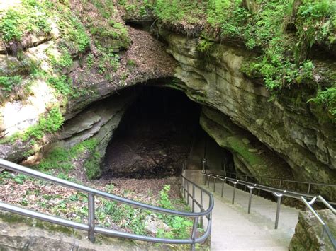 Insiders Guide To Mammoth Cave National Park