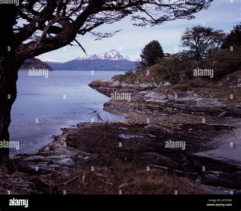 Bahia Lapataia Trees Edging The Shore And Distant Mountains Tierra Del