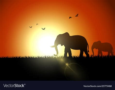 Elephant Silhouette At Sunset Royalty Free Vector Image