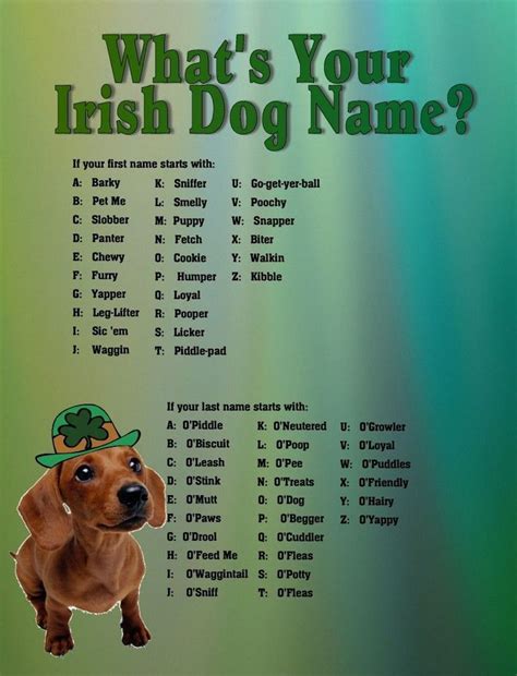 Irish baby names evolved over the centuries based on the historical events of the time. Dog Names That Start With J