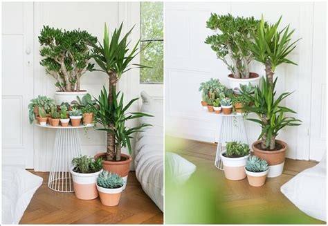 Place the plants instead of pictures on the wall, and thus will not only greening the inside of the home, but you'll enter a glimmer of superior design. 15 Amazing Ideas to Display Your Indoor Plants ...