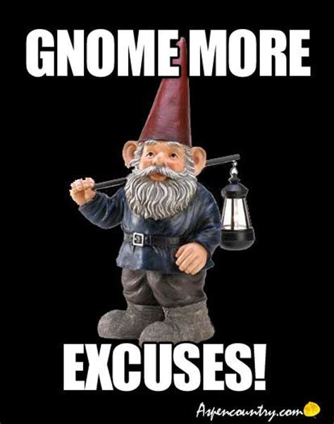 Gnome Memes