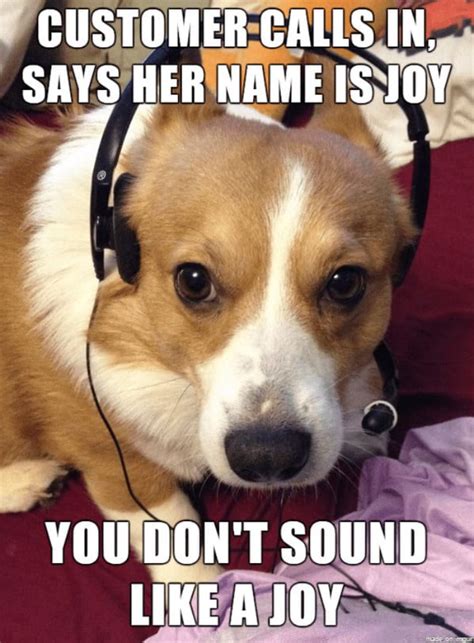 Best Funniest Customer Service Memes For Engati