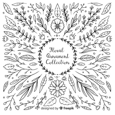 Free Vector Hand Drawn Floral Ornament Collection