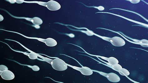 Male Fertility Crisis Scientist Says Sperm Counts Plummeting