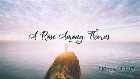 Hi, i'm maggie, welcome to rose among the thorns, a random collection of my life, perspective, and a way for me to put my thoughts and stories into something i can share. A Rose Among Thorns - 1 Kings 18:1-15 - Summit Church