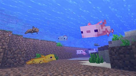 Minecraft Axolotls How To Get The Blue Axolotl Rock Paper Shotgun