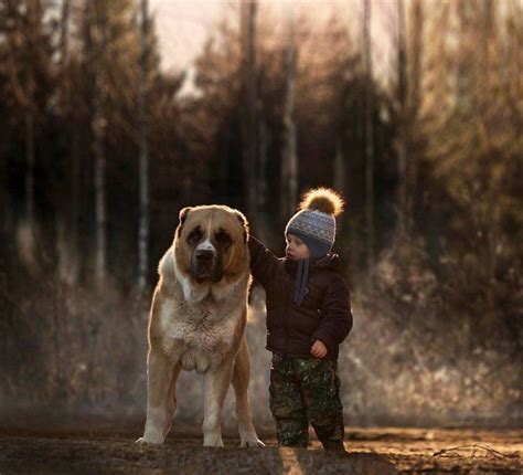 25 Images Showing The Unbreakable Bond Between Child And Pet Dogs And