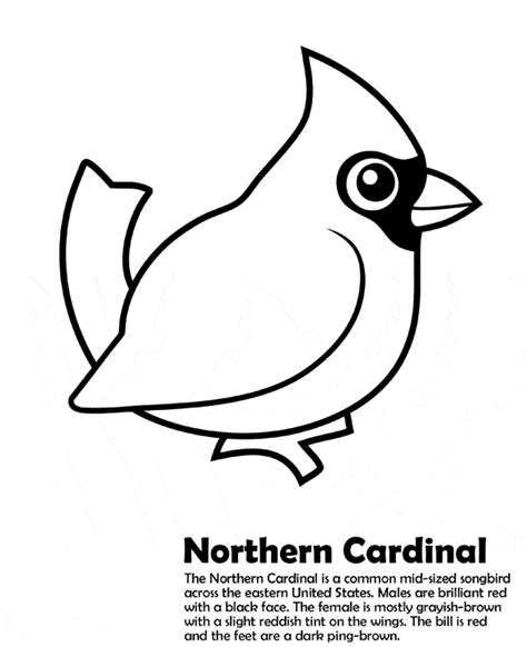 39+ cardinal coloring pages printable for printing and coloring. Northern Cardinal coloring page - Animals Town - Free ...