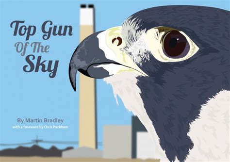 Sunday Book Review Top Gun Of The Sky By Martin Bradley Mark Avery